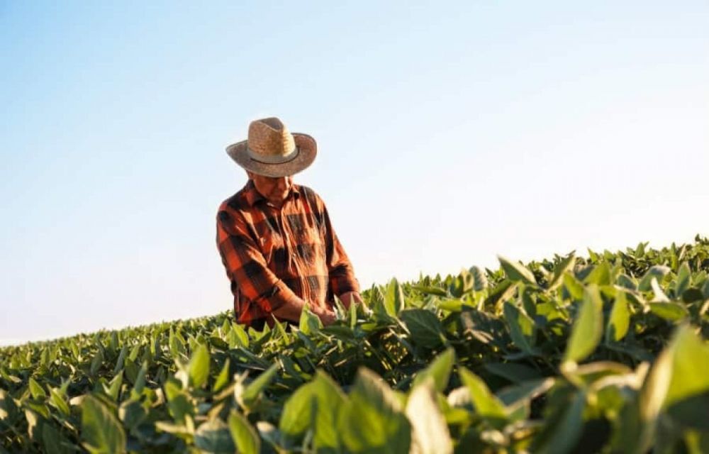 Aposentadoria Rural: Quais So Os Documentos Impostos Pelo INSS?