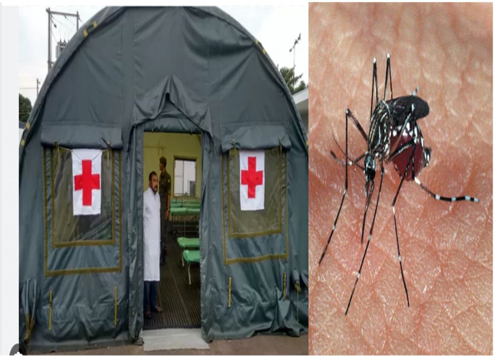 Idosos lotam unidades em busca de atendimento contra dengue
